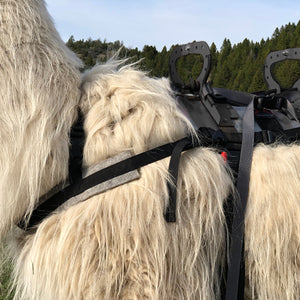 Llama Pack Saddles
