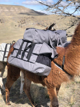 Load image into Gallery viewer, Demo of Llama Pannier Set
