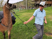 Load image into Gallery viewer, Demo of Llama Lead Rope