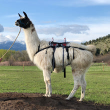 Load image into Gallery viewer, Llama Pack Saddle & Blanket