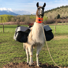 Load image into Gallery viewer, Llama Safety Neck Gaiter