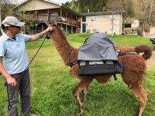 Load image into Gallery viewer, Llama Pannier Rain Fly