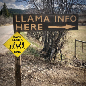 Pack Llama Xing Sign