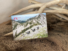 Load image into Gallery viewer, Llama Postcard Package  |  Get All 4
