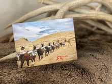 Load image into Gallery viewer, Llama Postcard Package  |  Get All 4
