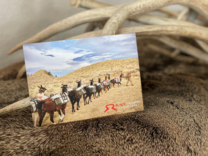 Llama Postcard Package  |  Get All 4