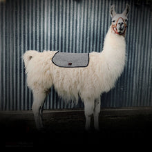 Load image into Gallery viewer, Llama Pack Saddle &amp; Blanket
