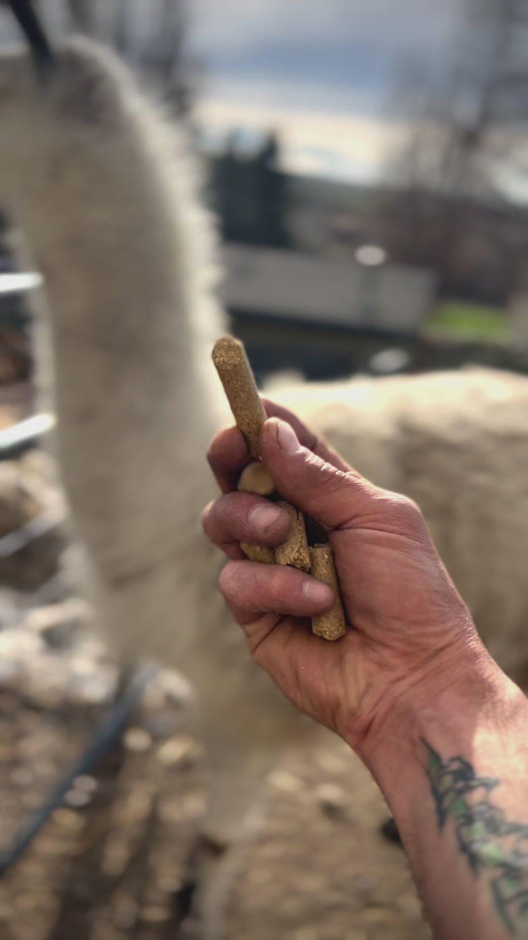 Llama Pellets by Black Thunder Gear