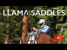 Load and play video in Gallery viewer, Llama Pack Saddle &amp; Blanket
