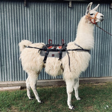 Load image into Gallery viewer, Saddle Blanket
