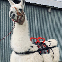Load image into Gallery viewer, Demo of Saddle Blanket

