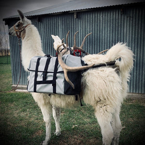 Demo of Llama Pack Saddles