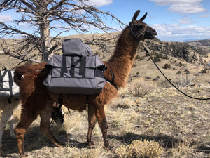 Llama panniers sales