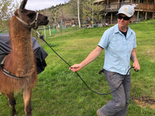 Load image into Gallery viewer, Demo of Llama Lead Rope
