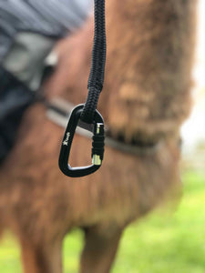Llama Lead Rope