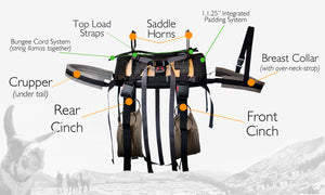 Demo of Llama Pack Saddles