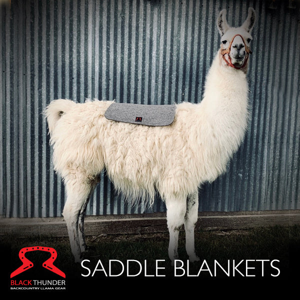 Demo of Saddle Blanket
